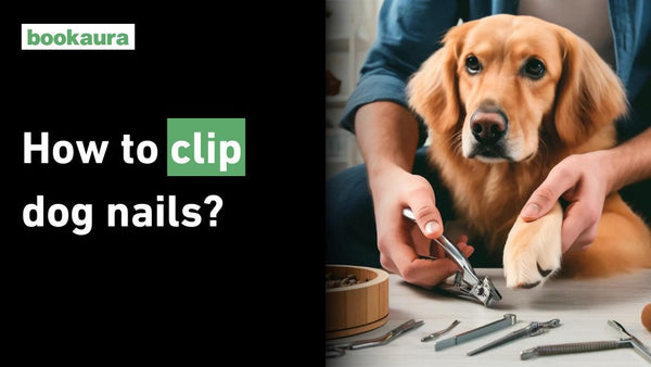 How to clip dog nails?