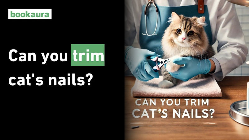 Can you trim cat's nails?