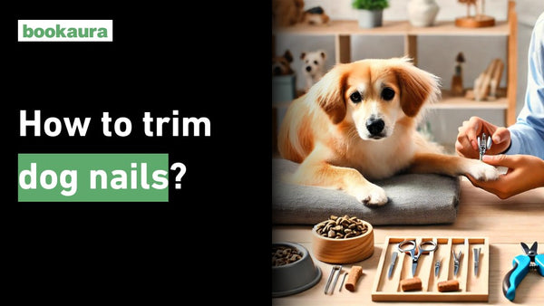 How to trim dog nails?