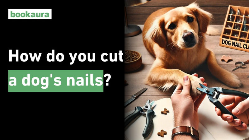 How do you cut a dog's nails?